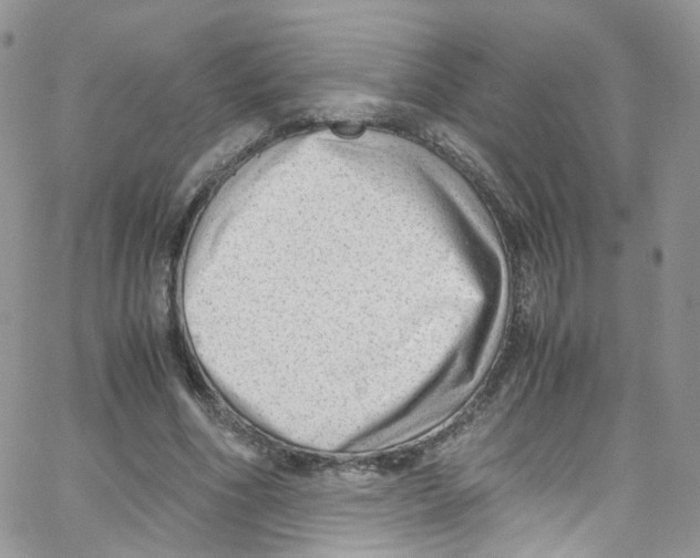 X0000065250586200603131130