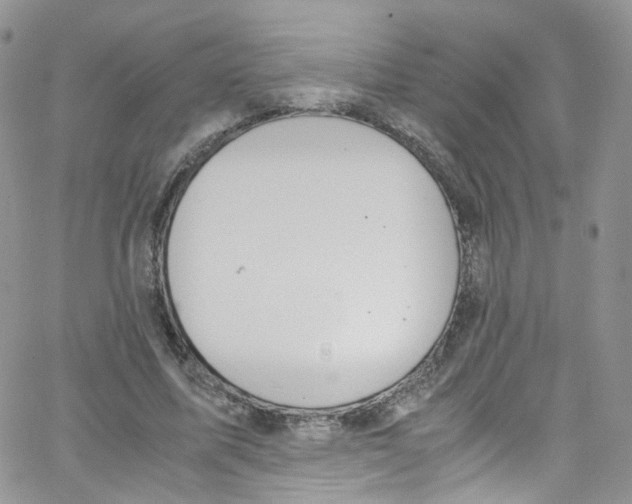 X0000065250587200603131130