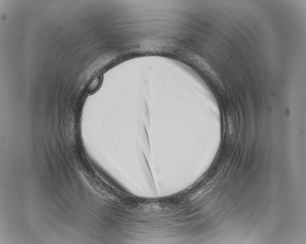 X0000065250588200603131130