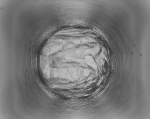 X0000065250589200603131130