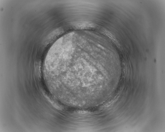 X0000065250590200603131130