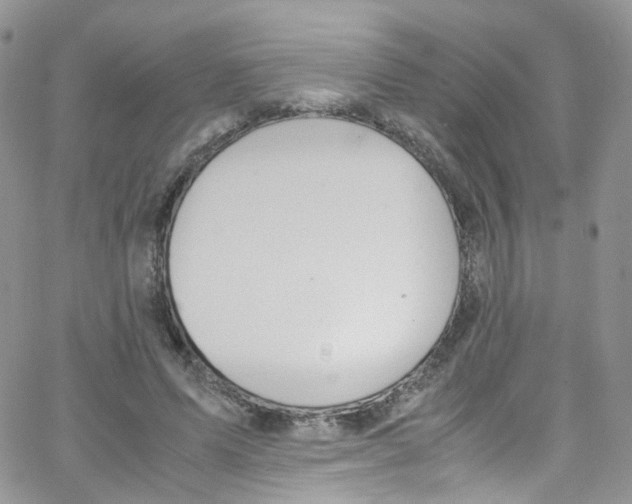 X0000065250591200603131130