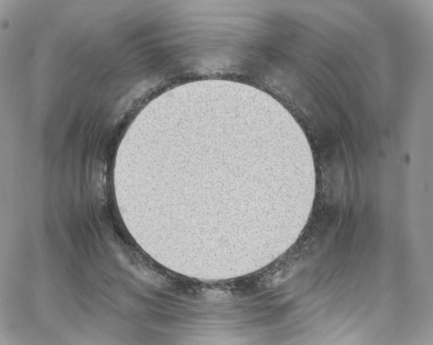 X0000065250592200603131130