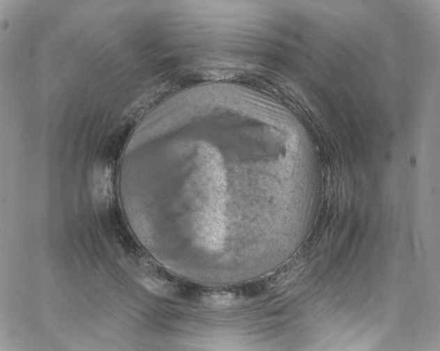 X0000065250598200603131130