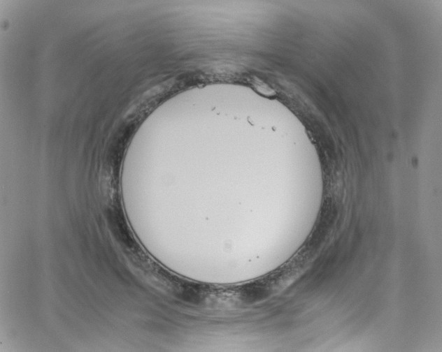 X0000065250599200603131130