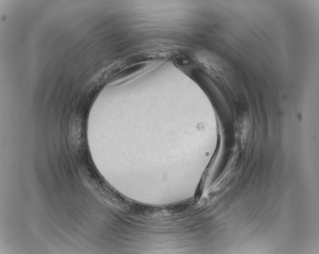 X0000065250600200603131130