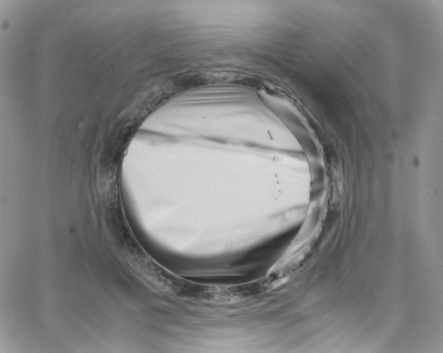 X0000065250601200603131130