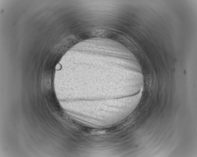 X0000065250602200603131130