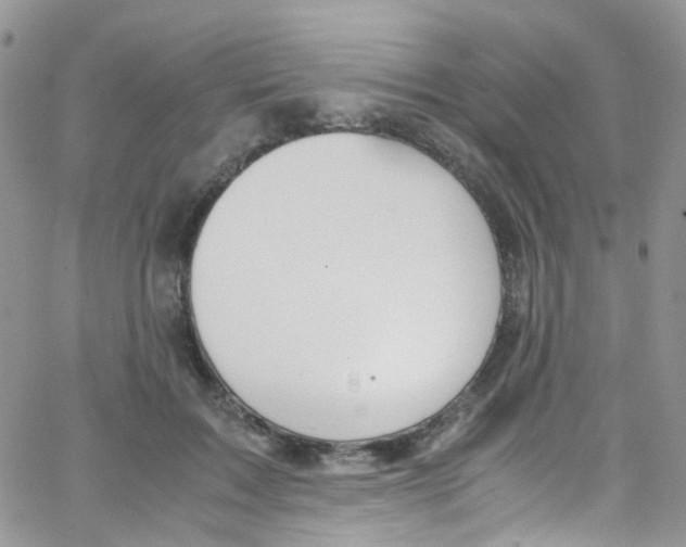 X0000065250603200603131130