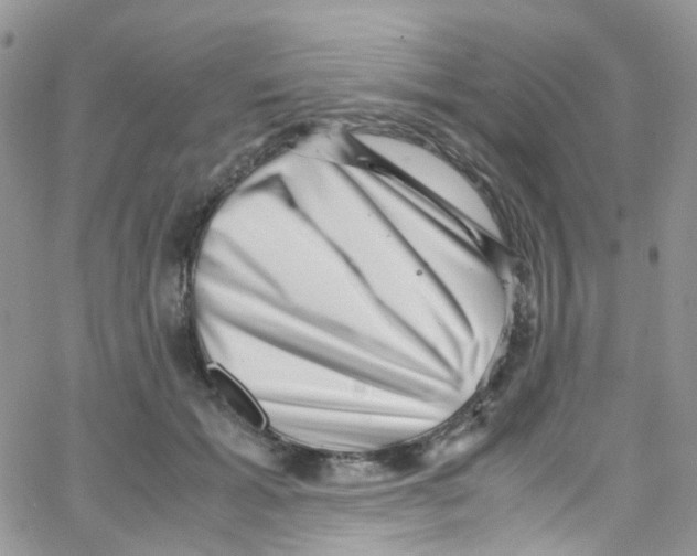 X0000065250605200603131130