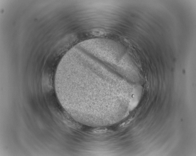 X0000065250606200603131130