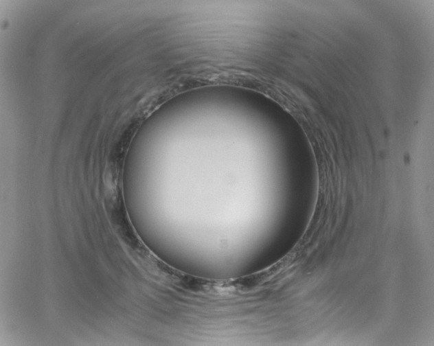 X0000065250607200603131130