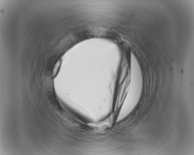 X0000065250609200603131130