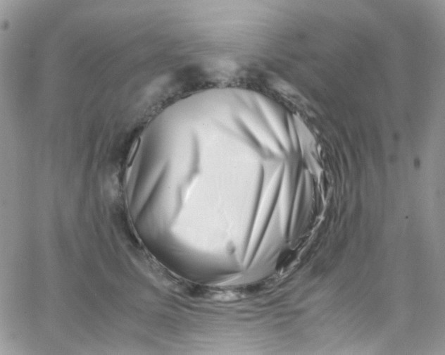 X0000065250611200603131130