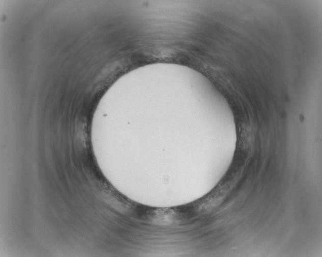 X0000065250612200603131130