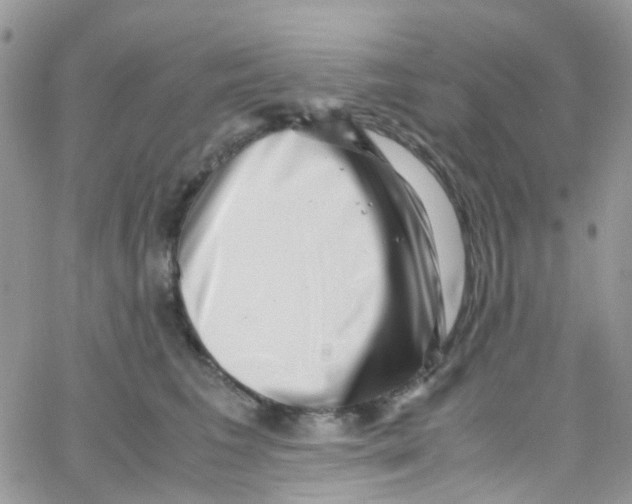 X0000065250613200603131129