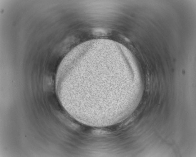 X0000065250614200603131129