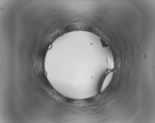 X0000065250615200603131129