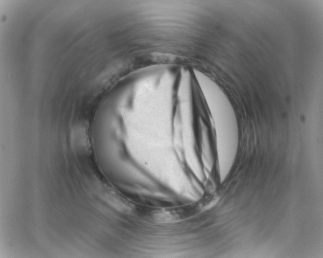 X0000065250616200603131129