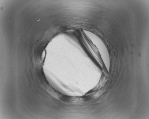 X0000065250617200603131129