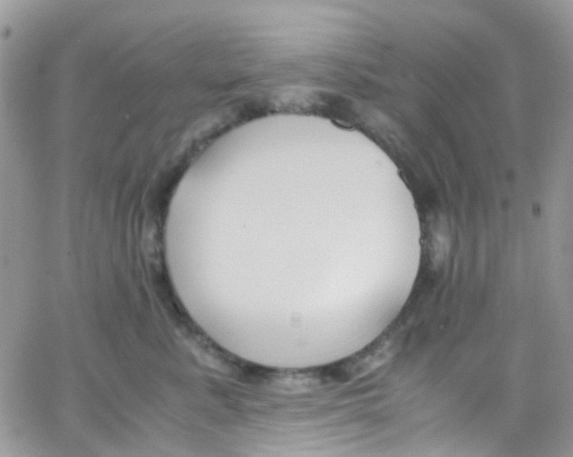 X0000065250619200603131129