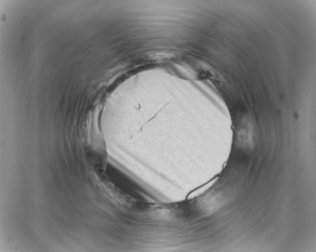 X0000065250620200603131129