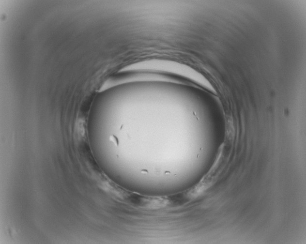 X0000065250621200603131129