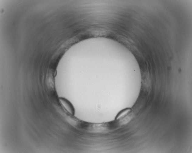 X0000065250622200603131129