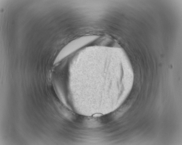 X0000065250624200603131129