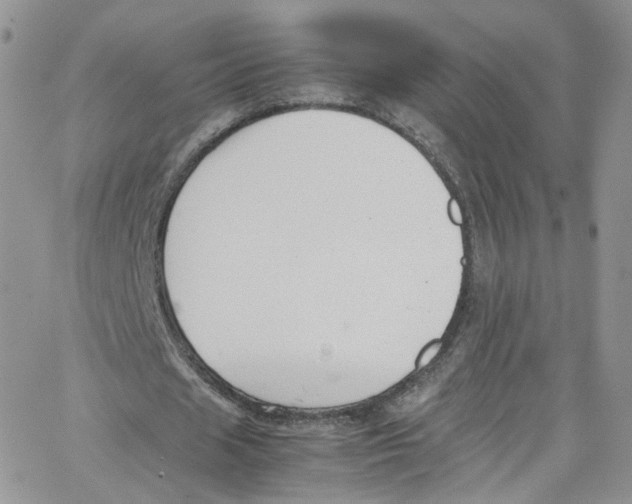 X0000065250625200603131129