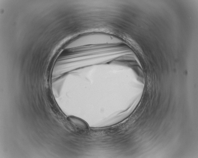 X0000065250628200603131129