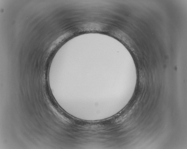 X0000065250629200603131129