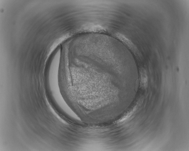 X0000065250630200603131129