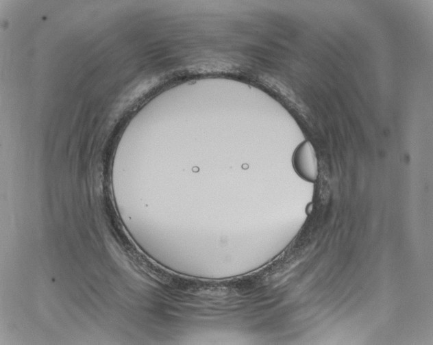 X0000065250631200603131129