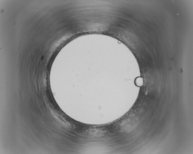 X0000065250632200603131129