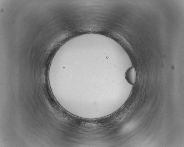 X0000065250635200603131129