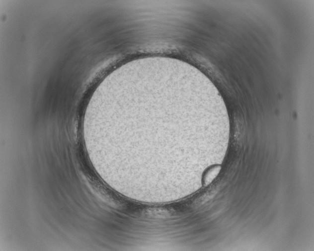 X0000065250636200603131129