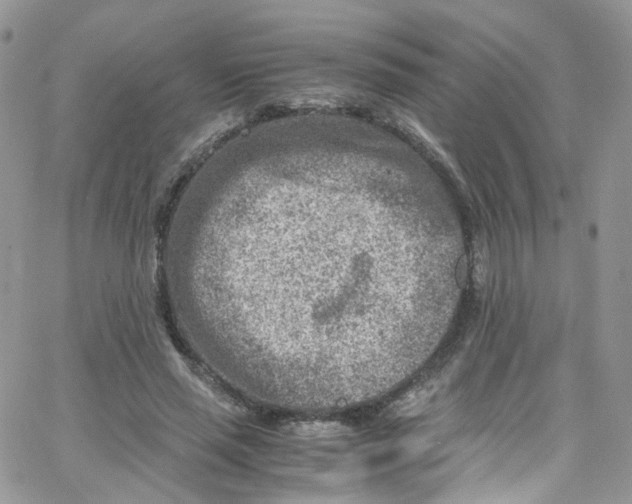 X0000065250637200603131129