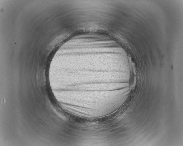 X0000065250638200603131129