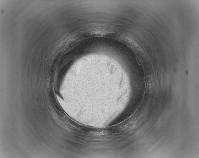 X0000065250639200603131129