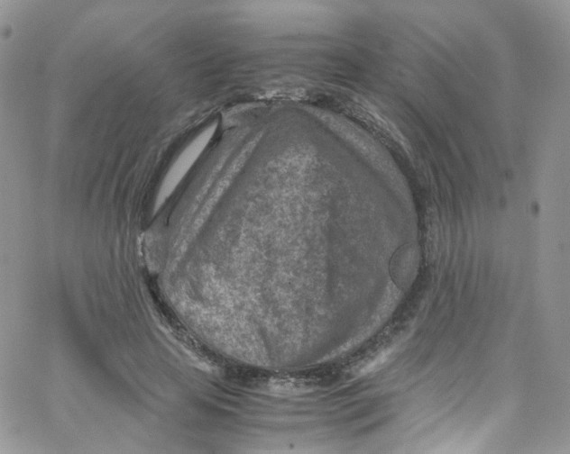 X0000065250641200603131129