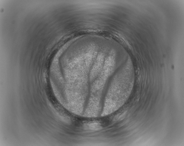 X0000065250643200603131129