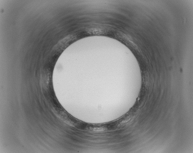 X0000065250645200603131129