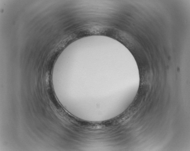 X0000065250646200603131129