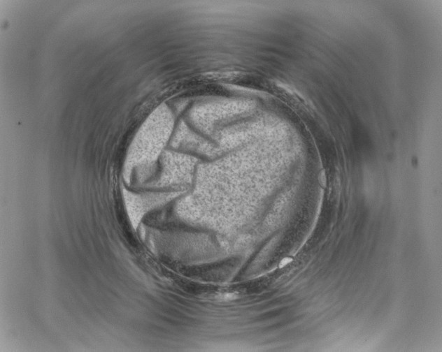 X0000065250647200603131129