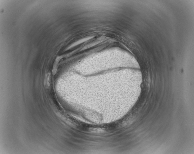 X0000065250649200603131129