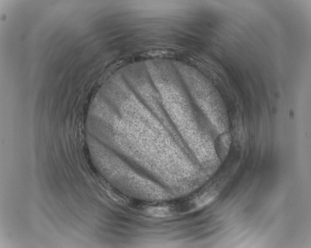 X0000065250653200603131129