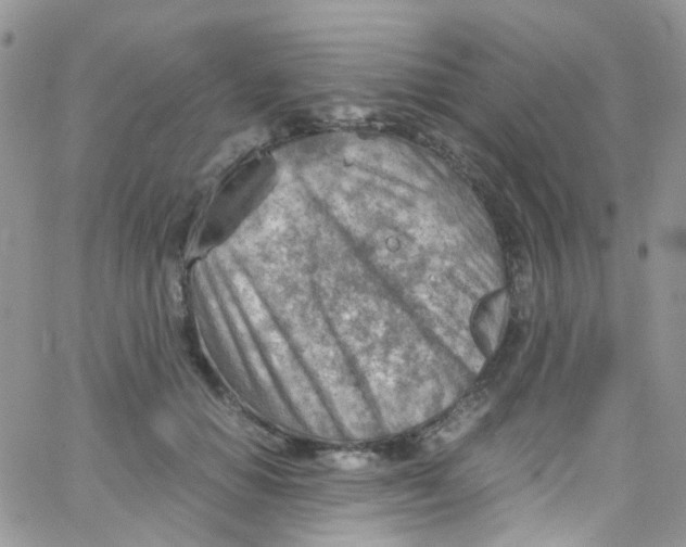 X0000065250654200603131129