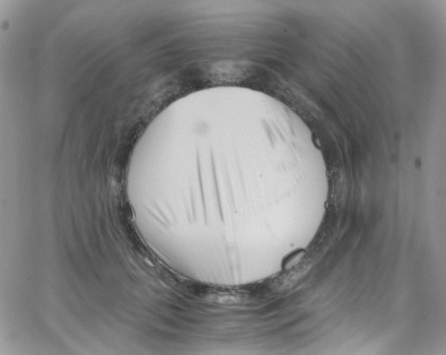 X0000065250655200603131129