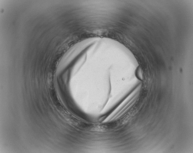 X0000065250656200603131129